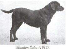 Munden Saba Munden Saba