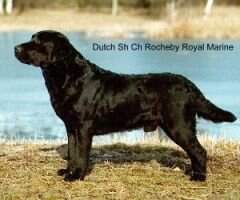 Rocheby Royal Marine Rocheby Royal Marine