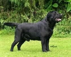 Paradocs Tabatha Stonehenge Paradocs Tabatha Stonehenge