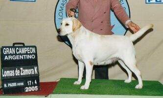 GCE Haras de Malal Cahuelo GCE Haras de Malal Cahuelo
