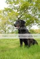 FTCH Blackthorn Biham FTCH Blackthorn Biham