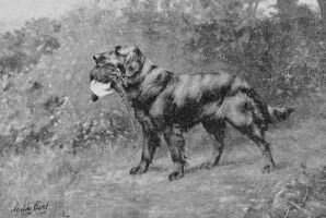 Darenth (Flatcoat 1888) Darenth (Flatcoat 1888)