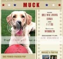 HFR'S Muck and Duck Express Dock Dogs Natl World Competitor