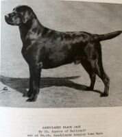 Sandylands Black Jack