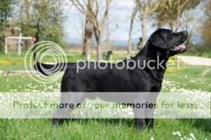 Curious Chance (Bacco)