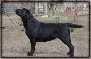 KendyStyle Heiress From Martin KendyStyle Heiress From Martin