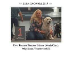 Foxrush Timeless Edition Foxrush Timeless Edition