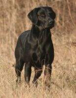 FTCH Jersey Girls Kind Sookie