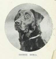 Denne Nora Ft.W.