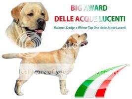 MD UA MD RO Big Award delle Acque Lucenti