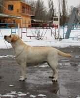 Clan Soprano Kiara Donna