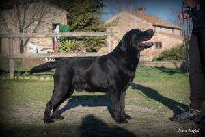 JRITCH CIE Chablais Toscanello