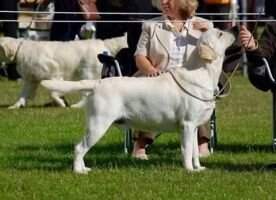UK ShCh Richbourne Londoner JW