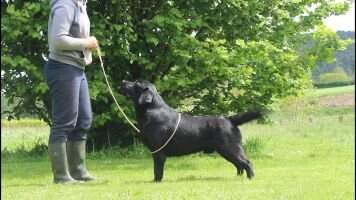 Deacon Jones z Grodu Hrabiego Malmesbury PAN