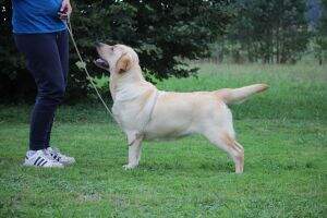 Fillari Sicilia Fillari Sicilia