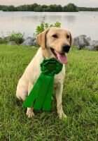 Potts Sadie Mae