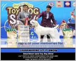 Gr Ind Ch Thai Ch LABRAMARINE LET iT SNOW