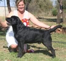 SA Ch Craignair Special Titan Of Kloofzight SA Ch Craignair Special Titan Of Kloofzight