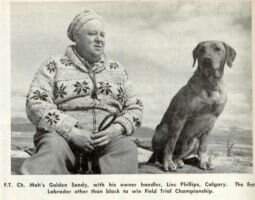 Can.Ft.Ch. Mah's Golden Sandy ~1946